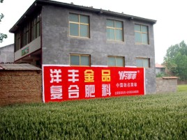 和县如何让墙体广告展现最大化效果