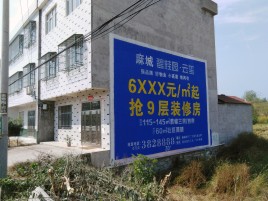 和县墙体广告质量分析
