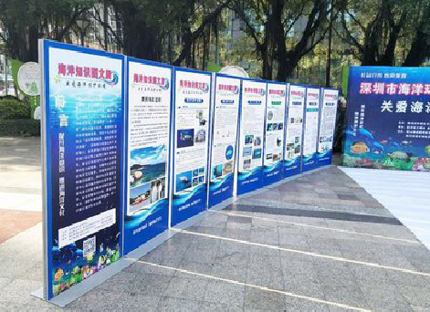 和县KT板的种类和知识。